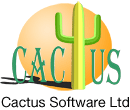 Cactus Software Development Nelson